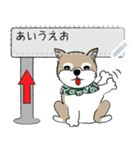 ～柴犬～メッセージスタンプ（個別スタンプ：13）