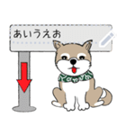 ～柴犬～メッセージスタンプ（個別スタンプ：17）