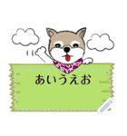 ～柴犬～メッセージスタンプ（個別スタンプ：22）