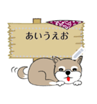 ～柴犬～メッセージスタンプ（個別スタンプ：24）