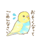 コザクラインコとセキセイインコ敬語2（個別スタンプ：25）