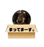 iroha＆niho＆heto（個別スタンプ：1）