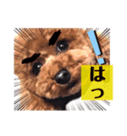 モカちゃんお気に入り（個別スタンプ：2）