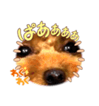 モカちゃんお気に入り（個別スタンプ：4）