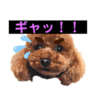 モカちゃんお気に入り（個別スタンプ：5）