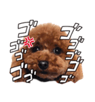 モカちゃんお気に入り（個別スタンプ：12）