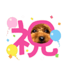 モカちゃんお気に入り（個別スタンプ：14）