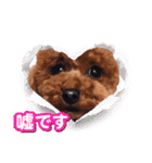モカちゃんお気に入り（個別スタンプ：19）