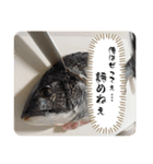 男の釣りスタンプシリーズ（個別スタンプ：5）