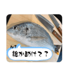男の釣りスタンプシリーズ（個別スタンプ：6）