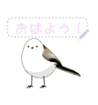 礼文島の野鳥くん(自由文字スタンプ)（個別スタンプ：2）