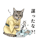 お江戸編 猫にまみれたがりのスタンプ（個別スタンプ：17）