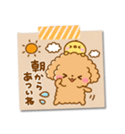 夏の豆柴犬♡トイプードル（個別スタンプ：19）