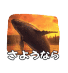 ⚫シロナガスクジラで敬語（個別スタンプ：4）