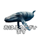 ⚫シロナガスクジラで敬語（個別スタンプ：8）