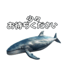 ⚫シロナガスクジラで敬語（個別スタンプ：11）