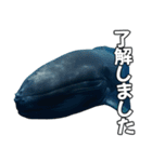 ⚫シロナガスクジラで敬語（個別スタンプ：15）