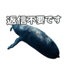 ⚫シロナガスクジラで敬語（個別スタンプ：23）