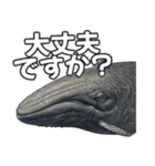 ⚫シロナガスクジラで敬語（個別スタンプ：26）