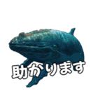 ⚫シロナガスクジラで敬語（個別スタンプ：31）