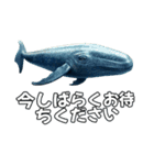 ⚫シロナガスクジラで敬語（個別スタンプ：34）