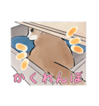 あざとくてごめん♡なねこにゃんず②（個別スタンプ：7）