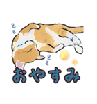 あざとくてごめん♡なねこにゃんず②（個別スタンプ：15）