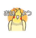 オカメインコず(日常系)（個別スタンプ：1）