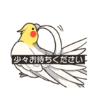 オカメインコず(日常系)（個別スタンプ：2）