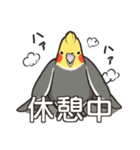 オカメインコず(日常系)（個別スタンプ：9）