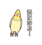 オカメインコず(日常系)（個別スタンプ：13）