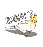 オカメインコず(日常系)（個別スタンプ：15）