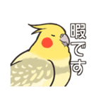 オカメインコず(日常系)（個別スタンプ：26）