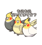 オカメインコず(日常系)（個別スタンプ：30）