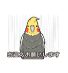 オカメインコず(日常系)（個別スタンプ：31）