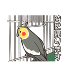 オカメインコず(日常系)（個別スタンプ：32）