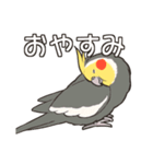 オカメインコず(日常系)（個別スタンプ：39）