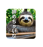 ナマケモノのように生きる（個別スタンプ：9）