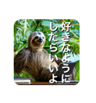 ナマケモノのように生きる（個別スタンプ：12）