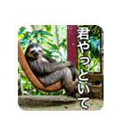 ナマケモノのように生きる（個別スタンプ：15）