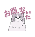 猫好きな人へ捧ぐ（個別スタンプ：9）