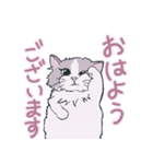 猫好きな人へ捧ぐ（個別スタンプ：15）