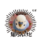 むぎちゃんスタンプ5（個別スタンプ：3）