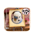 むぎちゃんスタンプ5（個別スタンプ：6）