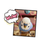 むぎちゃんスタンプ5（個別スタンプ：7）
