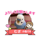 むぎちゃんスタンプ5（個別スタンプ：16）