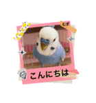 むぎちゃんスタンプ5（個別スタンプ：20）