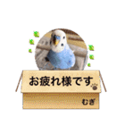 むぎちゃんスタンプ5（個別スタンプ：21）