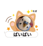 むぎちゃんスタンプ5（個別スタンプ：33）