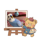むぎちゃんスタンプ5（個別スタンプ：38）